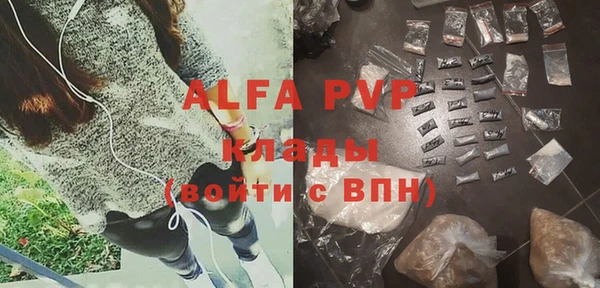 хмурый Аркадак