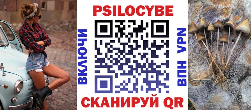 Псилоцибиновые грибы Cubensis наркота Тейково
